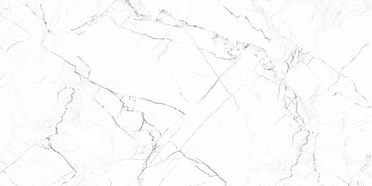 GT95VG Плитка облиц. Соло / Solo GT Бел. 50*25 _ 1 \74,25
