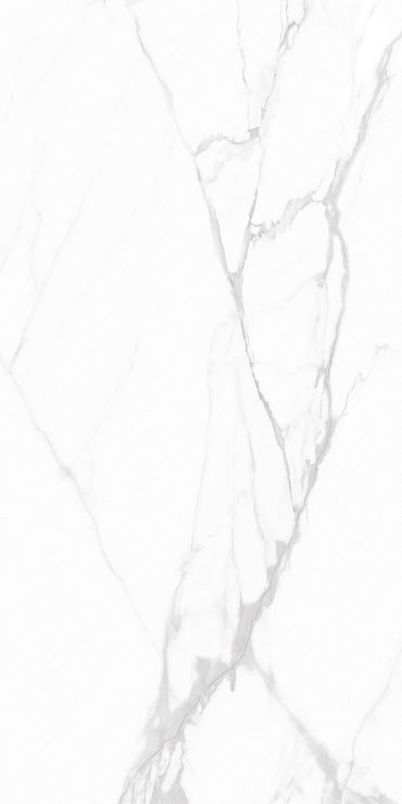 Керамогранит Андреа / Andrea GT1206015903PDR Белый 60x120