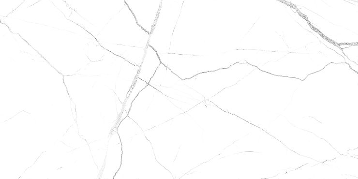 GT121VG Плитка облиц. Силуэт / Siluet GT Бел. 50*25 _ 1 \74,25