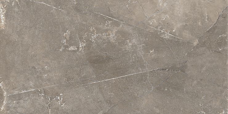 GT122VG Плитка облиц. Силуэт / Siluet GT Кор. 50*25 _ 1 \74,25